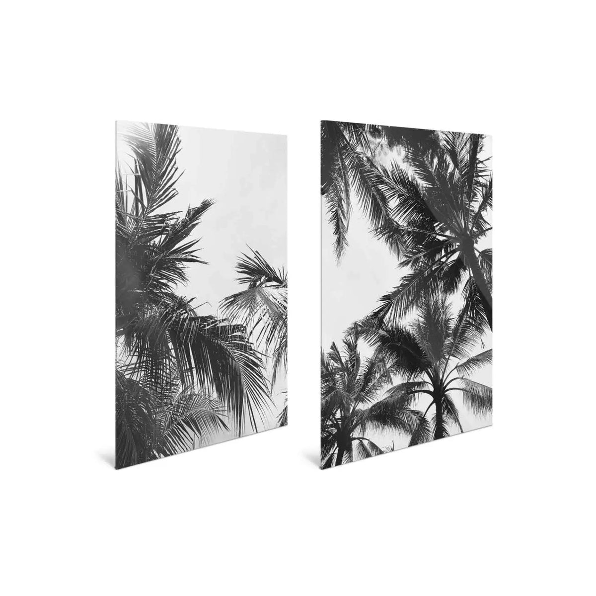 "PALM DUO" - Art For Everyone
