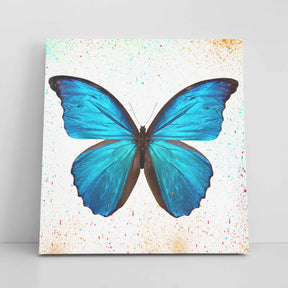 "BUTTERFLY EFFECT" - Art For Everyone