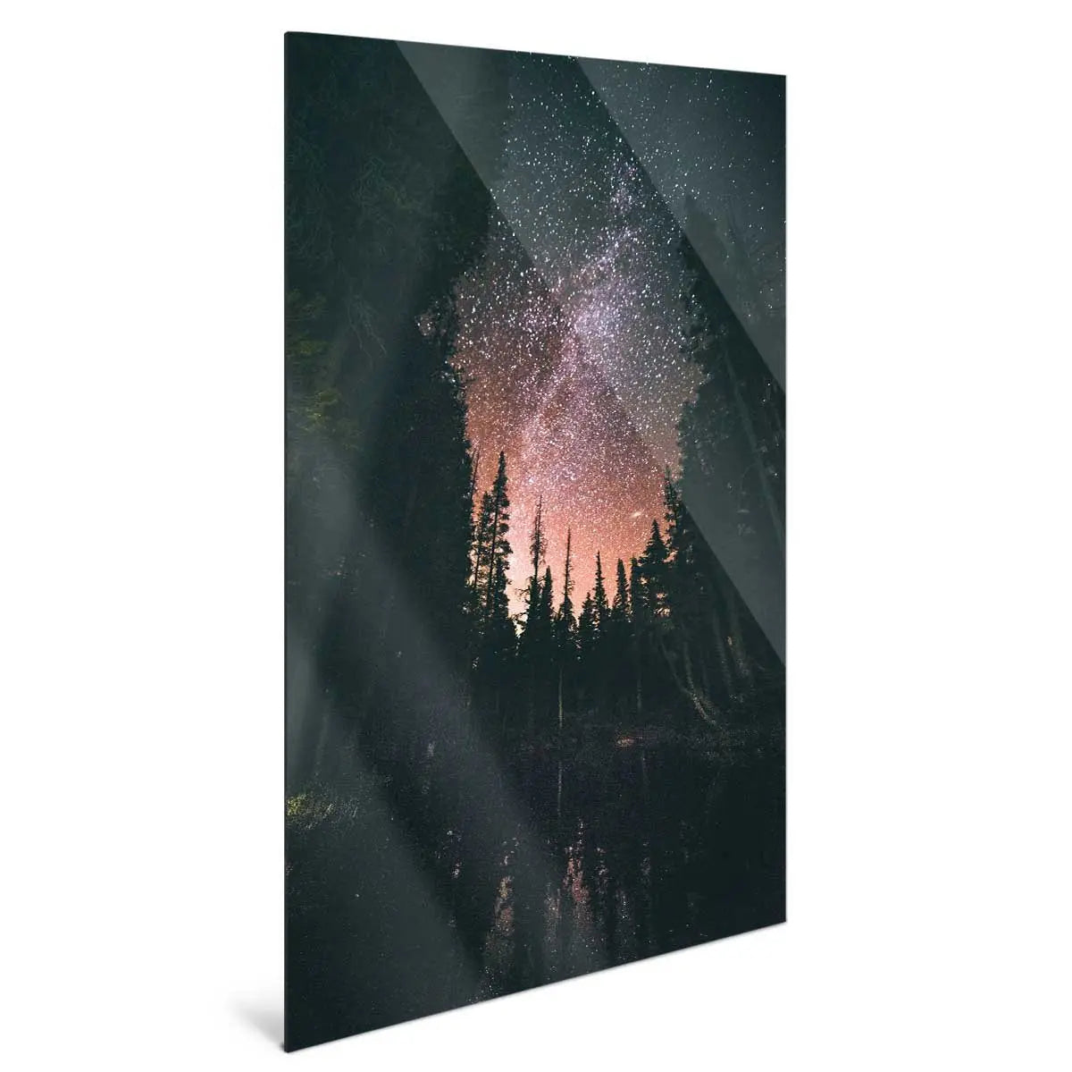 "FOREST AT NIGHT" - Art For Everyone