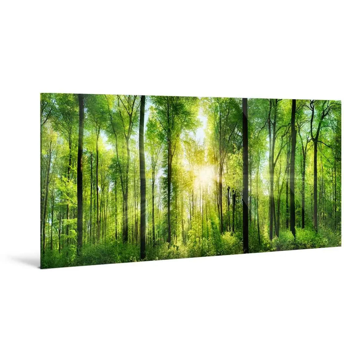 "FOREST SUNRISE" - Art For Everyone
